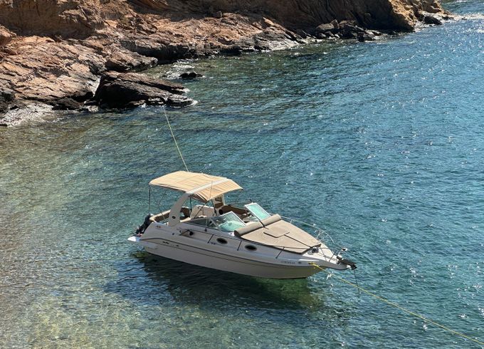 Sea Ray 250 Cordelia
