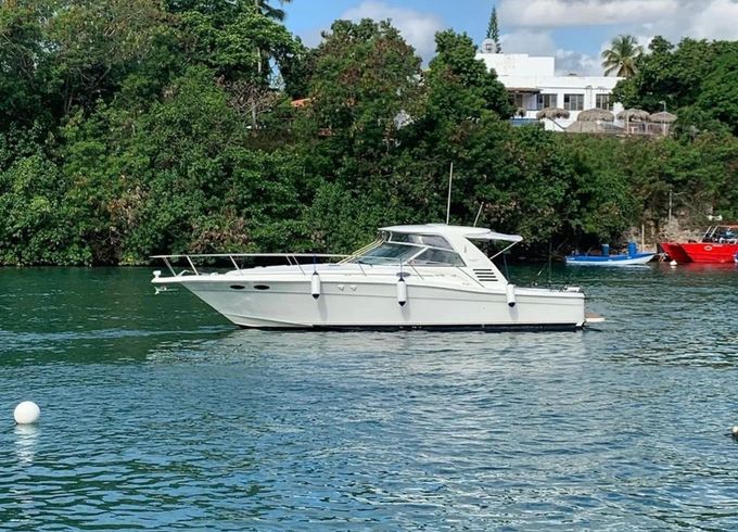 Sea Ray 370 Rocket Ship