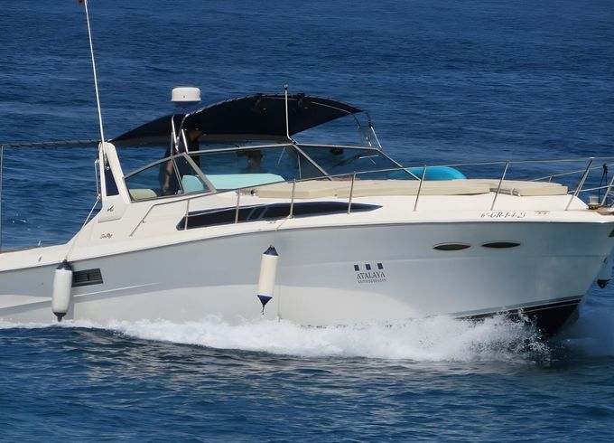Sea Ray 39 Sirius