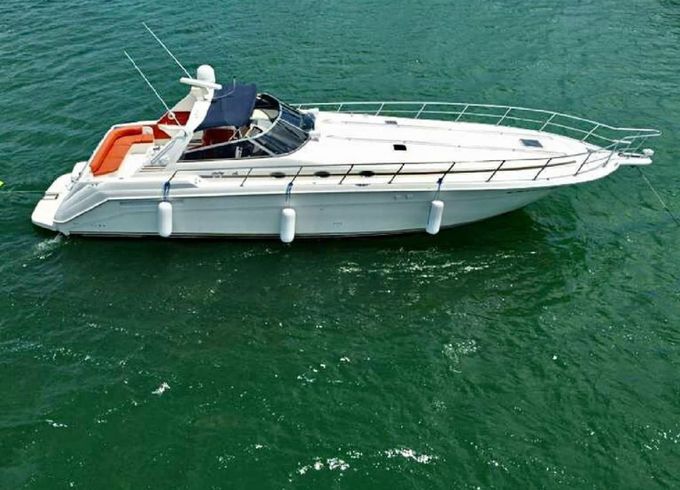 Sea Ray 50 Party