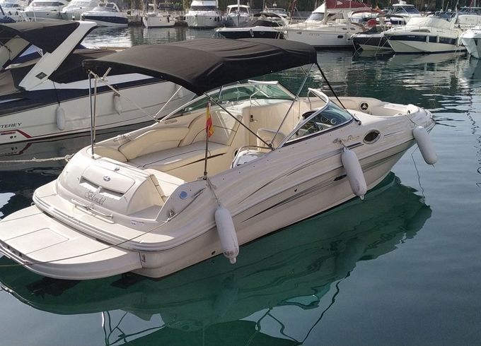 Sea Ray Sundeck 240 21