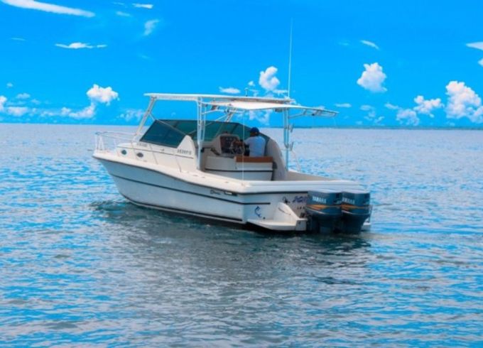 Stamas 30 Scorpio