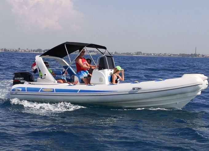 Stingher 606 14