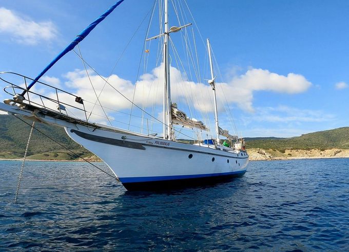Vagabond 47 Novena