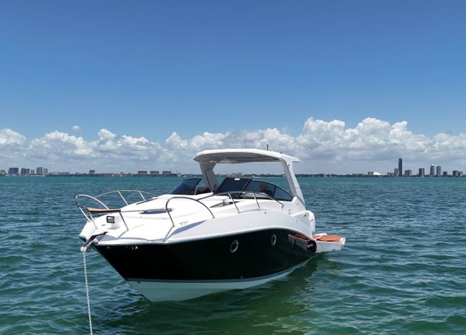 Ventura V300 Daycruiser