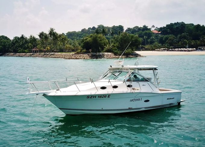 Wellcraft 330 Artemis 1