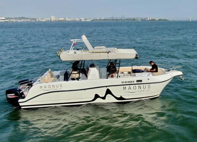 YachtCat 33 Magnus