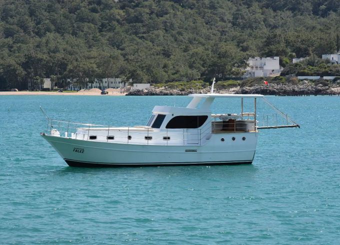 Trawler 42 Sampiyon Falez