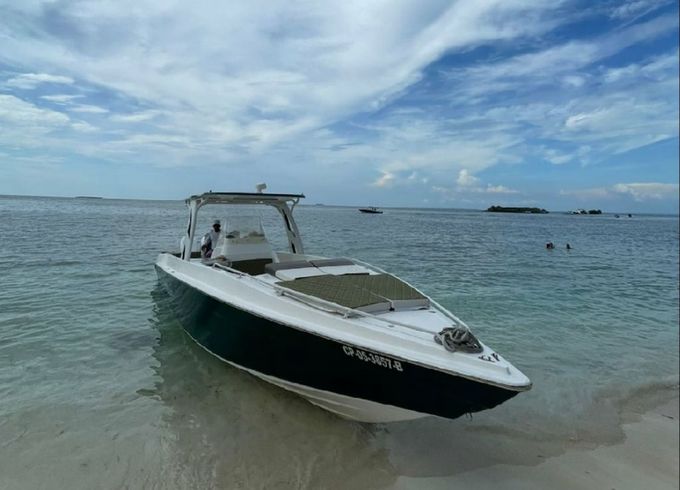 Todomar 38 Vitesse