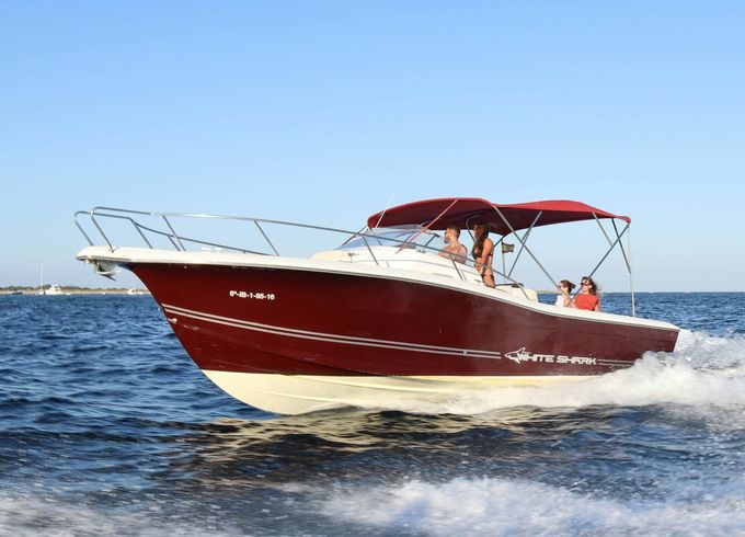 White Shark 298 Pitu