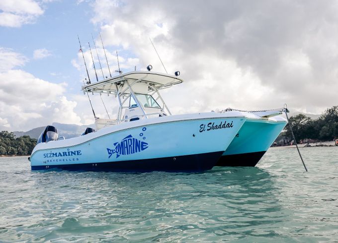 World Cat 280 El-shaddai