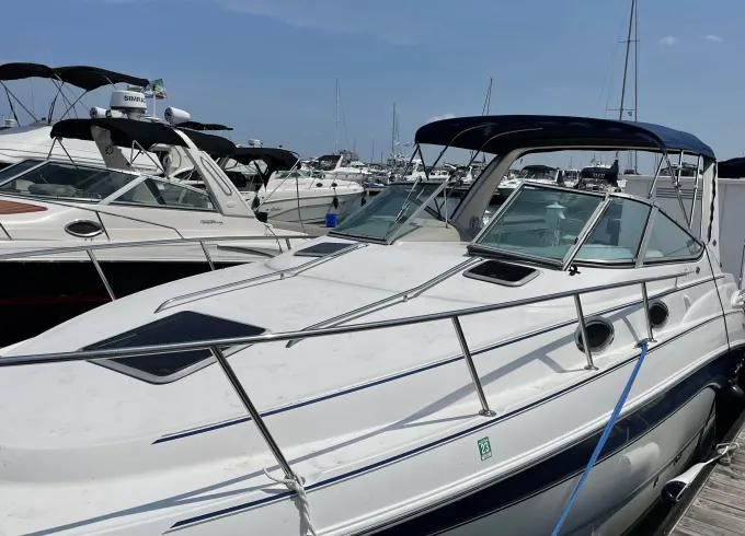 Luxury Cruising on Lake Michigan aboard 32' Chaparral Signature Yacht