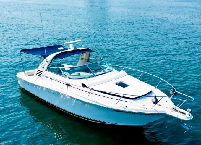 Lovely Sea Ray 36' Private Boat in Puerto Vallarta, Mexico