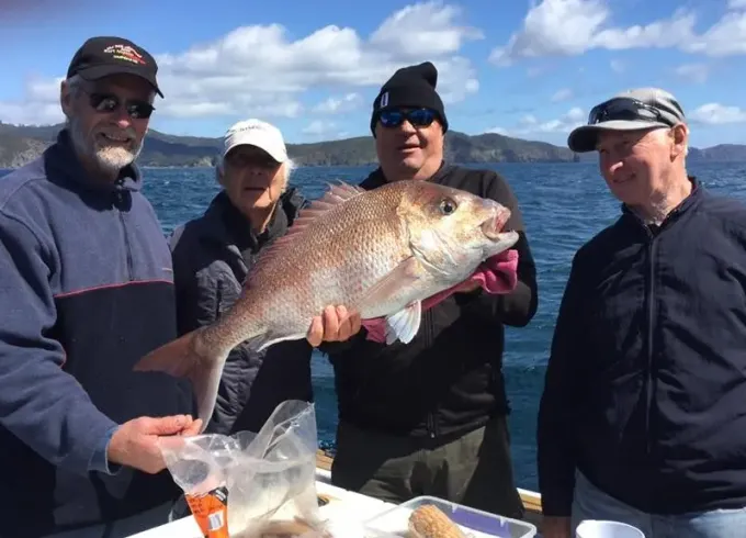 30ft Dickey 850 Sports Fishing Charter in Whangaroa, New Zealand
