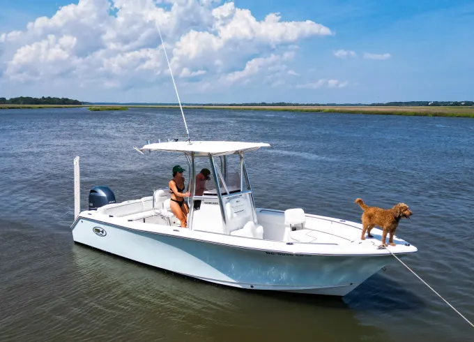 Explore Charleston by Water-Captained Cruise Access to Sandbars & Sunsets