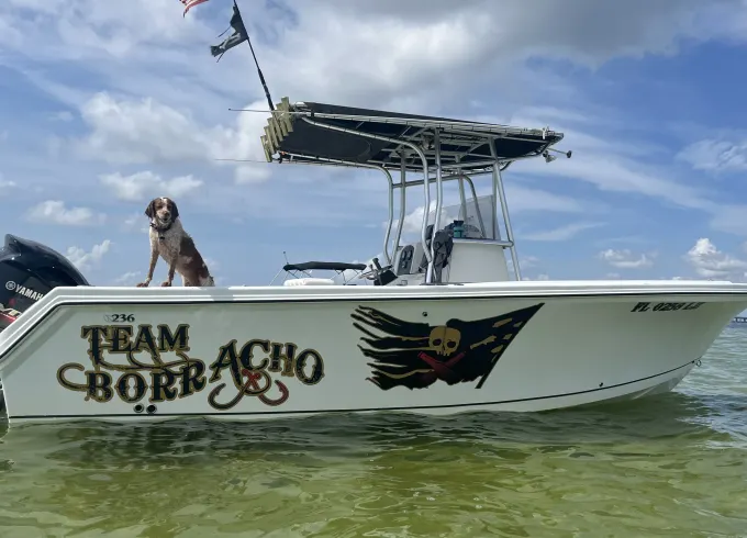 23ft Sailfish 236 CC Center Console Charter in St. Petersburg, Florida