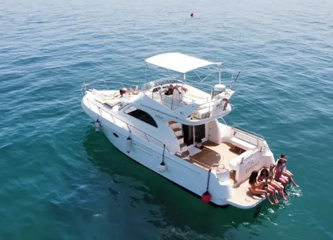 Astinor Yacht in Marbella for Scenic Trip and Sighting Dolphins!