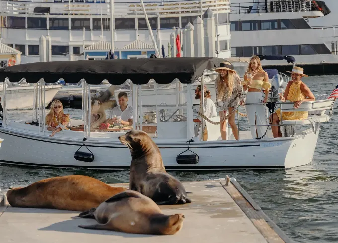 Luxury 22ft' Duffy Electric Boat with Captain | Marina del Rey, Los Angeles