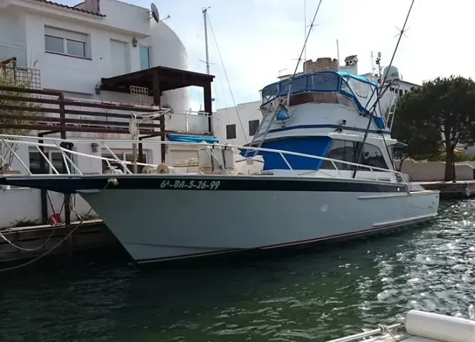 Fishing Charter On 44ft "Sail Fish" Striker Alu-Yacht In Castelló d'Empúries, Spain