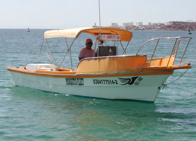 Fishing Charter on 22ft Open Super Pangas in La Paz
