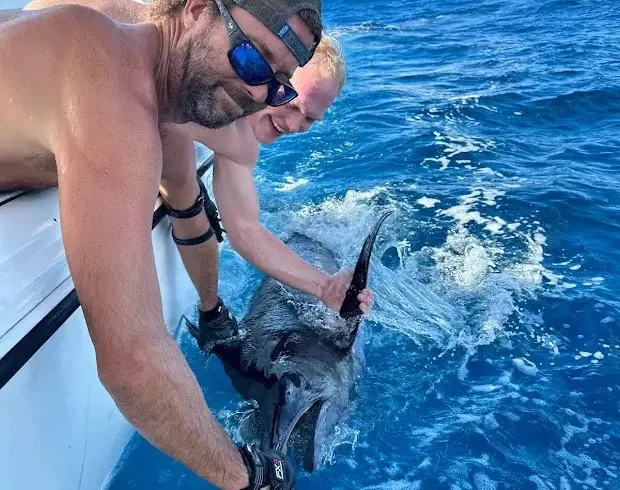 Professional Fishing Charter in Rincon for Mahi, Wahoo, Tuna, Marlin, and more.