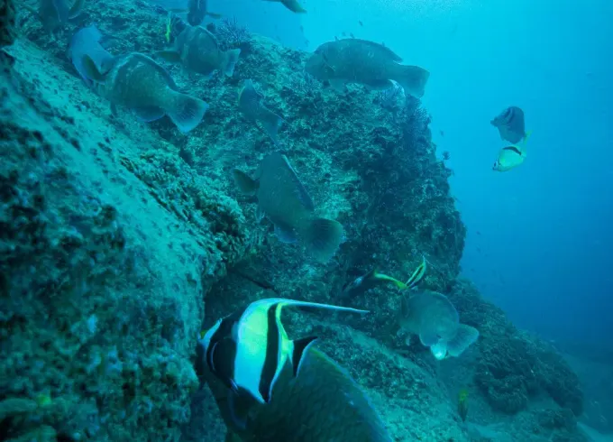 Snorkeling in San José del Cabo