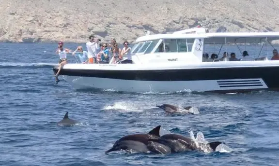 Dolphin Watching & Snorkeling Adventures in Muscat, Oman Private Tour