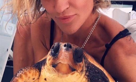 Ocean safari and boat trips in Tenerife