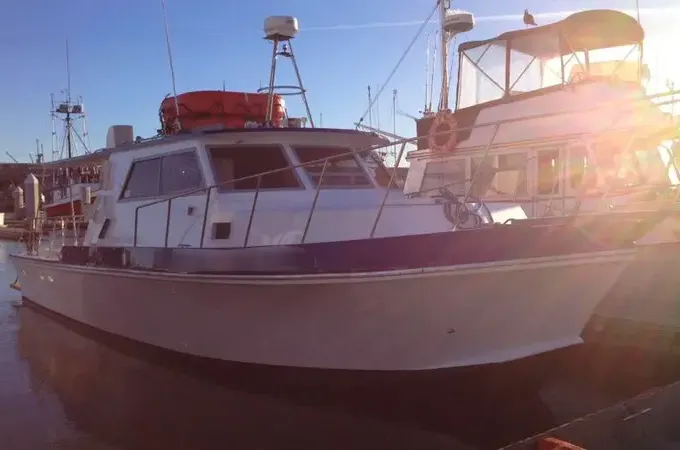 Versatile 38ft Delta Boat for Events, Fishing, and Whale Watching