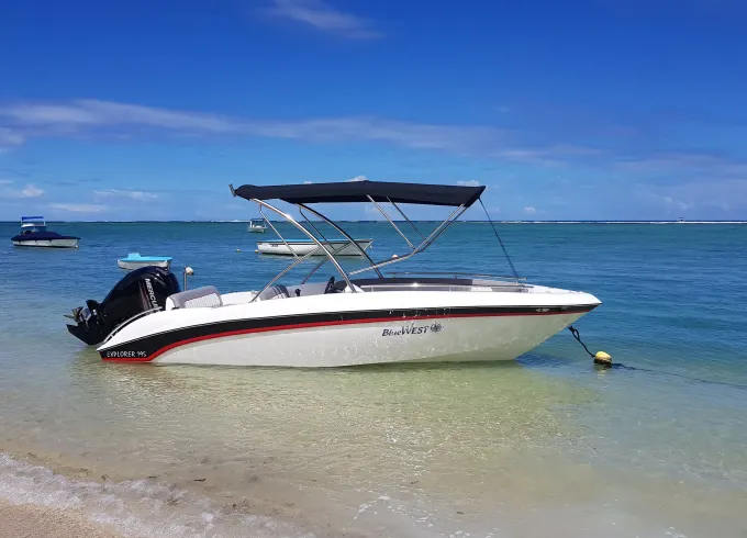 Sea Adventure with Dolphins in Mauritius