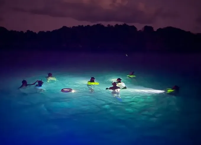 Twilight Snorkeling Cruise with Drinks & Gourmet Bites