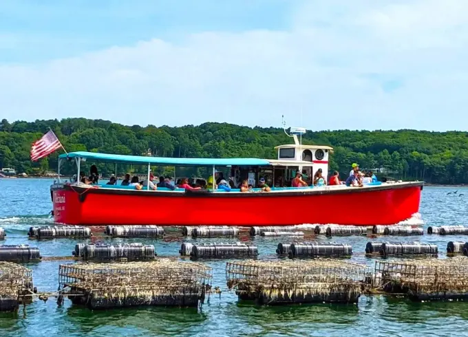 Discover the Damariscotta River where 80% of Maine oysters are farmed