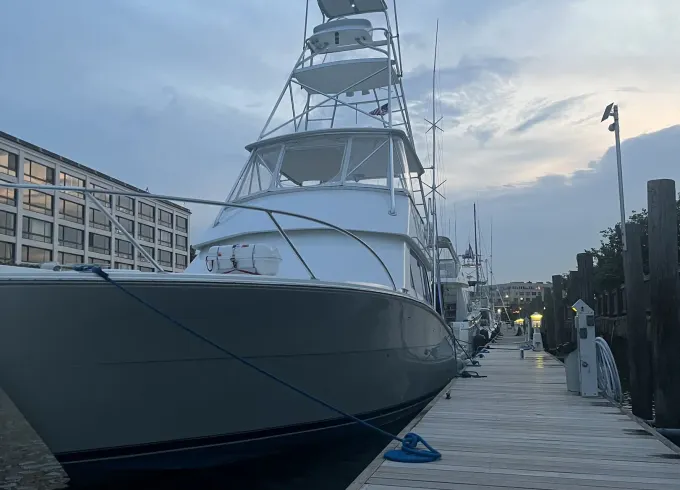 50ft Viking Half Day Bottom Fishing Charter