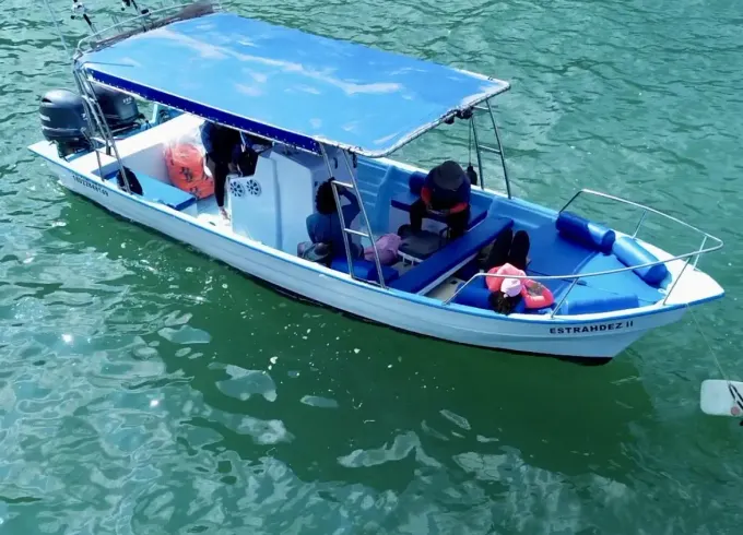 Private 28' Super Panga/ Boat Tours at Puerto Vallarta