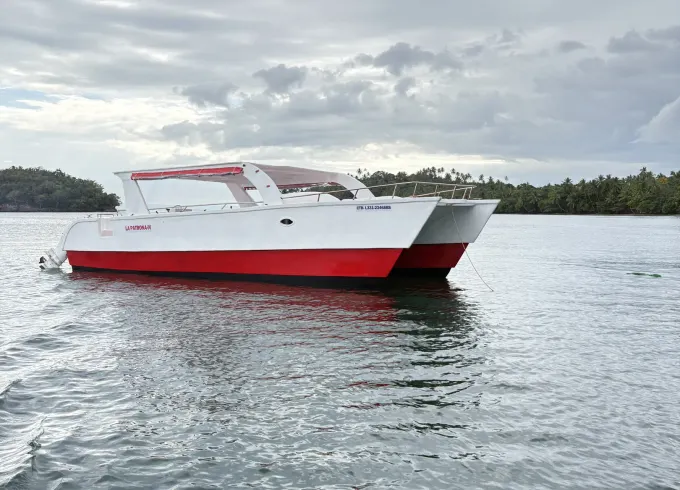 Explore Paradise on a Private Catamaran – Perfect for Groups! 🐬
