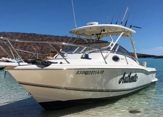 Scout 260 Sportfish Boat|Your Best Motorboat for an Unique experience at La Paz