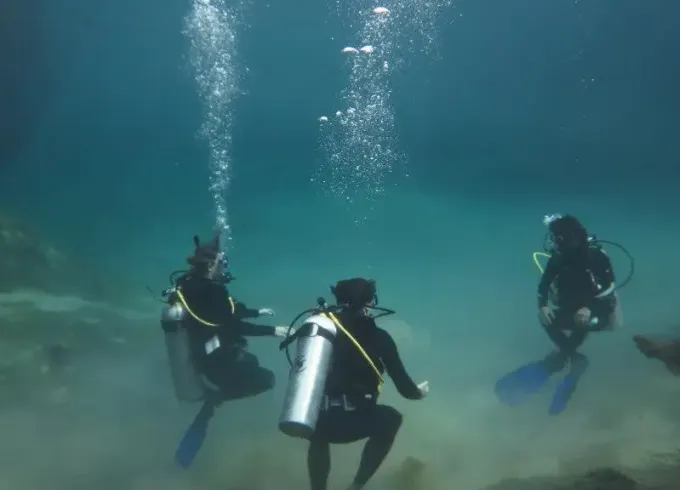 Diving Expeditions in Cenotes, Mexico