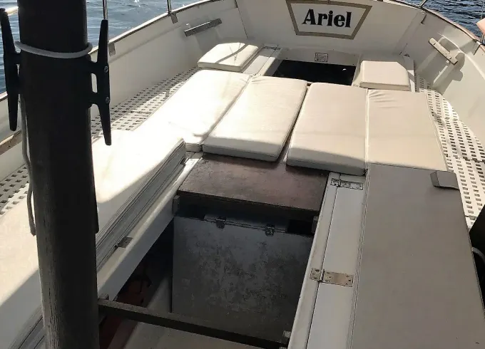 TRADITIONAL MALLORQUIN BOAT Ferrer Roselló 32 pams rental in Port d'Andratx