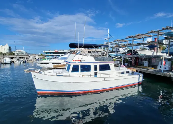 New! San Juan Day Beach Party Boat | Live Boricua!