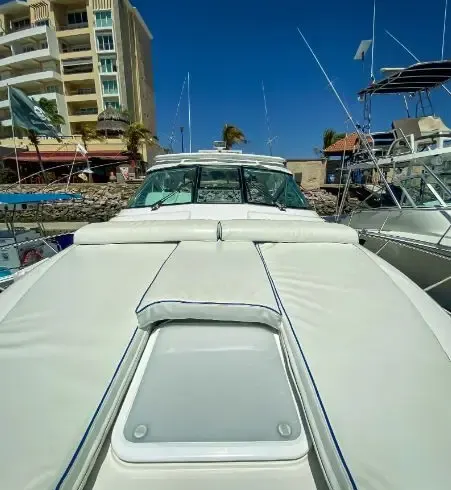 Bertram 42ft Yacht & Sportfishing Charter for 12 pax