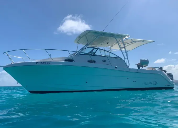 Robalo 30 All Inclusive Private Tours | Palominos & Icacos Islands