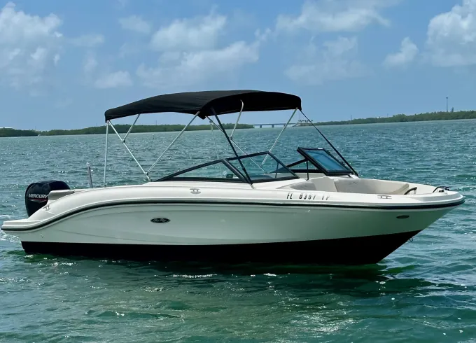 Explore The Gulf of America in Bonita Springs & FMB on Our 21ft Searay Bowrider!