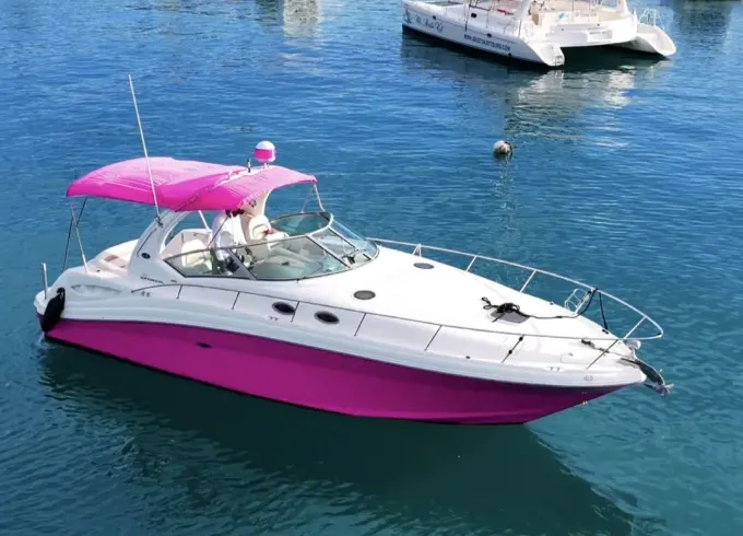 Private Pink Luxury Yacht in Montego Bay