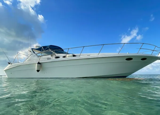 40 ft Searay Sundancer in Grand Cayman