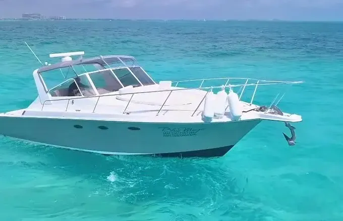 Yacht Party 42' Sea RaySundancer Free 1-way pick up transportation Hotel Marina