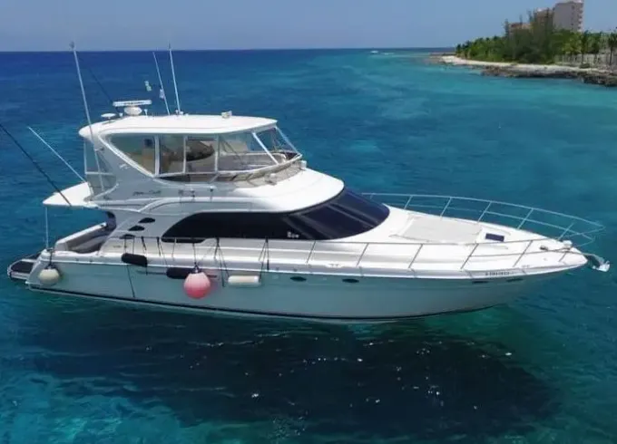 Sea Ray 560 Sedan Bridge | All inclusive VIP Experience | El Cielo, Cozumel