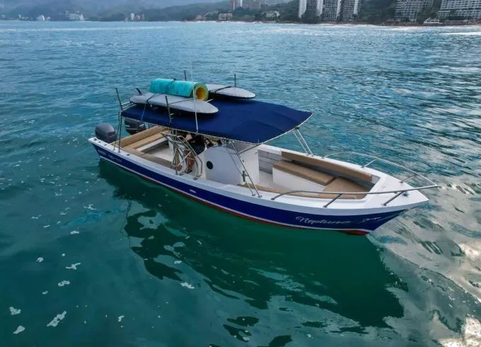 Marietas Island Discovery Tour Aboard 34' Nava Super Panga Boat