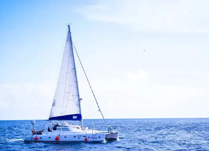 Welcome Aboard BlueRidge Voyager 500 - Unleash Your Seafaring Dreams!