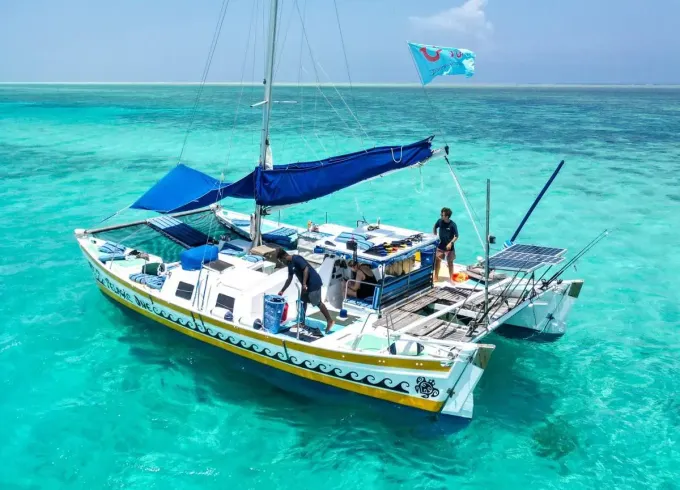 Zanzibar Private Full Day Catamaran to Mnemba Atoll Open Bar