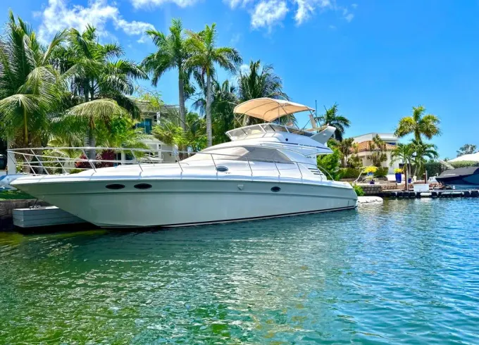 Enjoy cruising the Montego Bay coastline  In a 46  feet Searay yacht